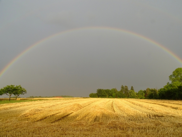 Regenbogen, aufgenommen in Oberursel am 21.07.2023 um 20:01 MESZ